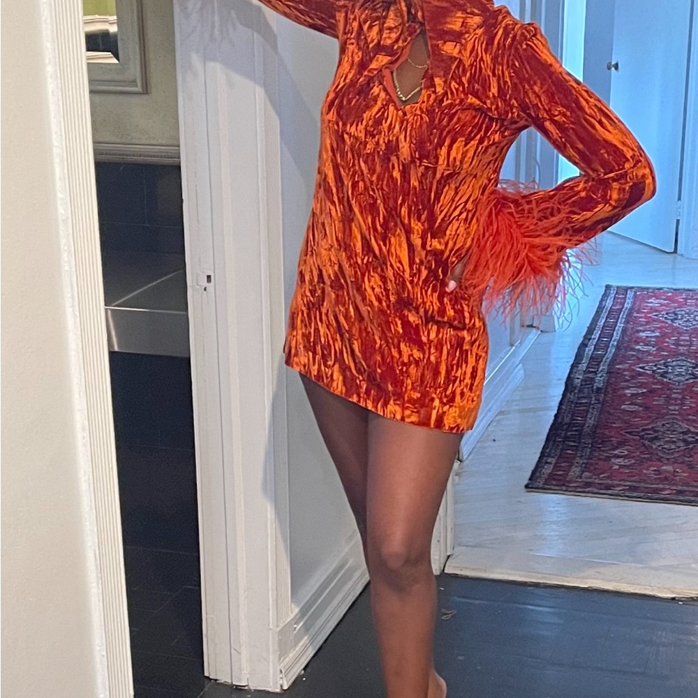 16Arlington Velvet Orange Dress with Wide Collar